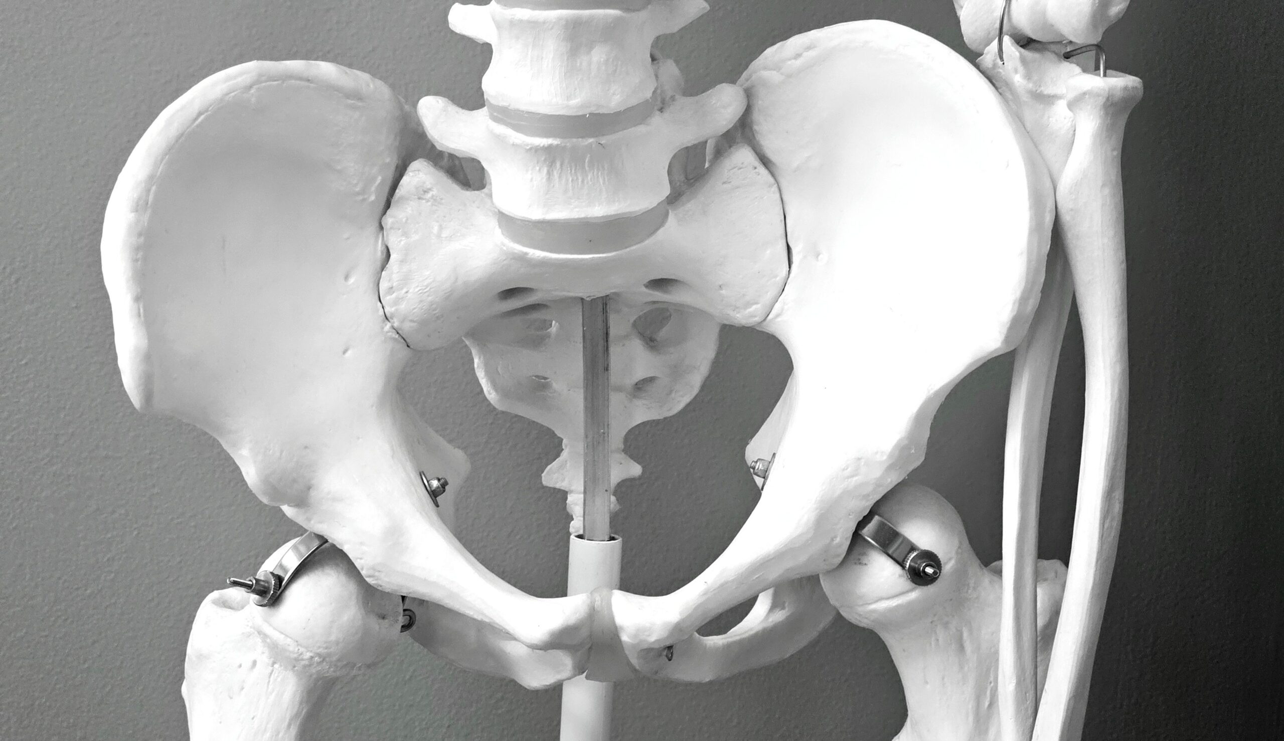 Your pelvic floor muscles are important.